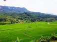 Day Trip to Bogor: Discover Hidden Waterfall, Local Village and Botanical Garden