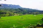 Day Trip to Bogor: Discover Hidden Waterfall, Local Village and Botanical Garden
