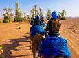 Sunset Camel Ride Tour In Marrakech Palm Groves