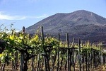 Wine tasting in a Vesuvius cellar