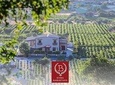 Wine taste in Bairaktari winery at Nemea