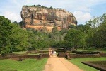 Day Tour to Sigiriya Rock Fortress & Dambulla Cave From Negombo.