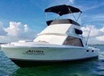 Private fishing charter Bertram 31ft 6 pax max if you don't fish you don't pay