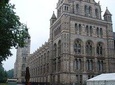 A Day at the Museum - Natural History Museum London