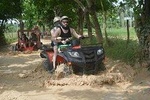 ATV Runners