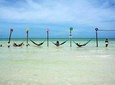 HOLBOX PLUS Discover the Paradise