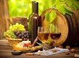  4 hour :Day Tour to CRICOVA Winery with tasting from Chisinau