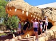 Malcolm Douglas Crocodile Park Tour Including Transportation