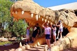 Malcolm Douglas Crocodile Park Tour Including Transportation