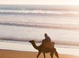 Agadir : 2-Hour Camel Ride Experience