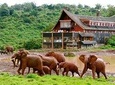 Aberdares National Park Luxury Lodge Safari 2days 1 Night Tour