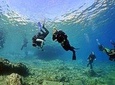Discover Scuba Diving Private Activity in Athens