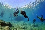 Discover Scuba Diving Private Activity in Athens
