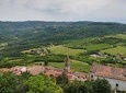 Full day tour of Istria with truffle tasting and lunch