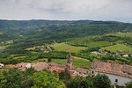 Full day tour of Istria with truffle tasting and lunch