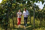 Kutaisi, Wine & Dine from Batumi