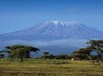 1 Day Mount Kilimanjaro Hike Trip