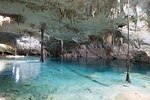 Swim in cenote tour with private guide from Tulum hotels