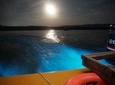 Luminous Lagoon (Glistening Waters) tour from Montego Bay Hotels