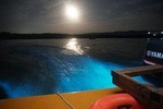 Luminous Lagoon (Glistening Waters) tour from Montego Bay Hotels