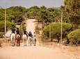 Alentejo tour with lunch and horseback ride on Melides beach