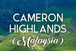 KUL Hotel to Cameron Highland(One Way Transfer)