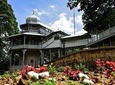 Full day Best Cultural See, Eat and Drink Experience 