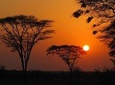 3 days Meru National Park Safari