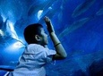 Underwater World Pattaya (Ticket Only)