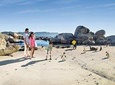 Swimming with African Penguins at Boulders Beach - Shared Tour From Cape Town