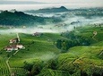 Franciacorta Wines & Bergamo from Milan - Private Tour 