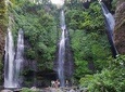 Sekumpul Waterfall Tour - One Day Private Tour