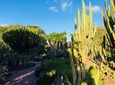 Gran Canaria Highlights Small Group Shore Excursion 