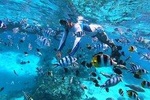 1/2 day excursion to Tahaa - departure Raiatea