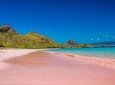 Lombok Pink Beach Instagram Tour - Private Day Trip All Inclusive
