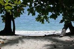 Manuel Antonio National Park Full Day Tour