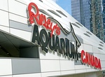 Visit Ripley's Aquarium of Canada, Toronto, Canada