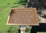 See World's First Electrically-Lighted Outdoor Christmas Tree, Coronado, California