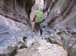 Canyoneer Orderville Canyon, Zion National Park, Utah