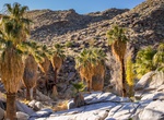 Hike Palm Canyon Trail, Palm Springs, California