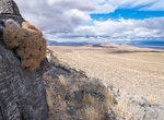 Explore Pahrump Valley Wilderness, California