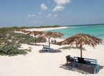 Visit Loblolly Beach, Anegada Island, BVI