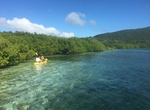 Kayak or SUP Hans Creek, Beef Island, BVI
