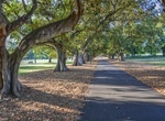 Visit Fawkner Park, Melbourne, Australia