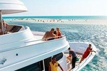 Ras Mohammed National Park: Snorkelling Trip
