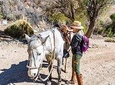 Cochiguaz Horseback Riding