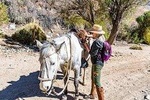 Cochiguaz Horseback Riding