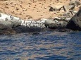 Penguins+Horseback riding+Barbecue in Cachagua & Sand Dunes (FROM SANTIAGO)