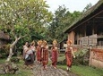 Full-Day Customized Amazing Private Tours in Bali