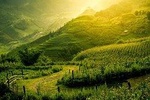 Sapa Biking Tour: Matra-Tafin-Tako-Sapa